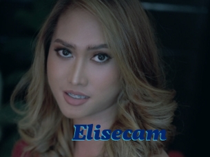 Elisecam