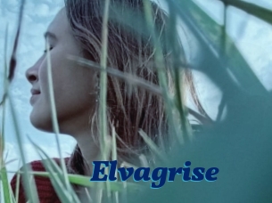 Elvagrise