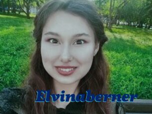 Elvinaberner