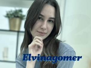 Elvinagomer