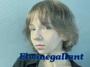 Elwinegallant