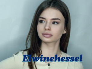 Elwinehessel