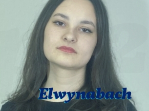 Elwynabach
