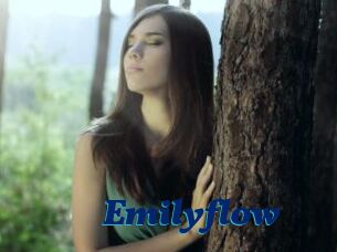 Emilyflow