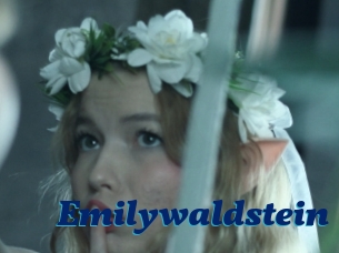 Emilywaldstein