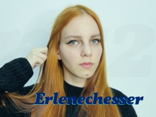Erlenechesser
