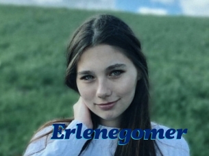 Erlenegomer