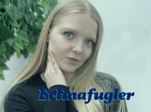 Erlinafugler