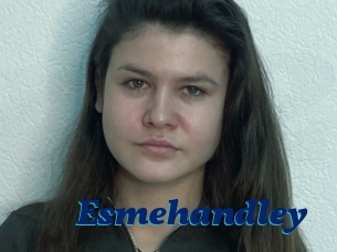 Esmehandley