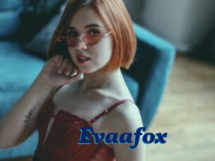 Evaafox