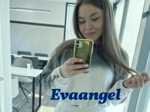 Evaangel