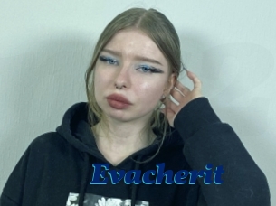 Evacherit