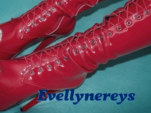 Evellynereys