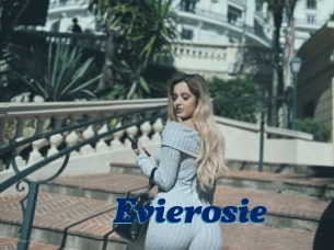 Evierosie