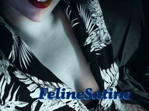 FelineSatine
