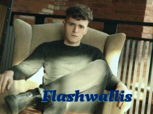 Flashwallis