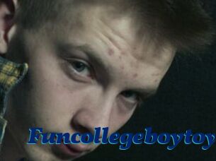 Funcollegeboytoy
