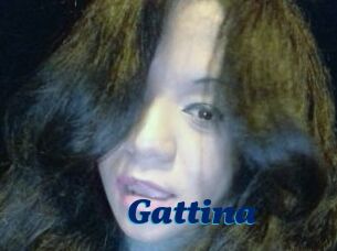 Gattina