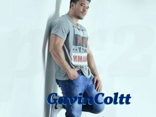 GavinColtt