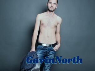 GavinNorth
