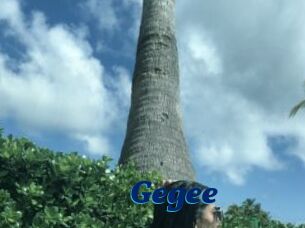 Gegee