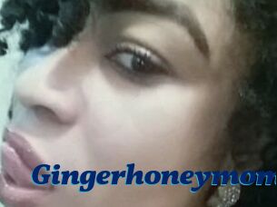 Gingerhoneymom