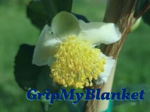 GripMyBlanket