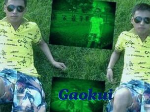 Gaokui