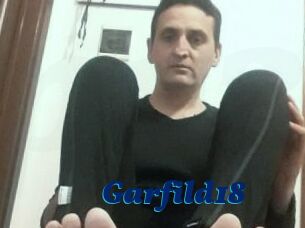Garfild18
