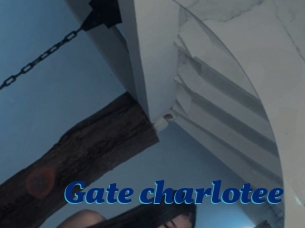 Gate_charlotee