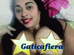 Gaticafiera