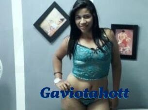 Gaviotahott