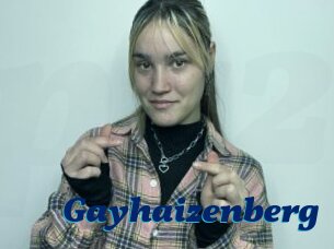Gayhaizenberg