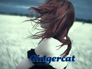 Gingercat
