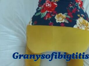 Granysofibigtitis