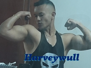Harveywull