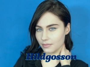 Hildgosson
