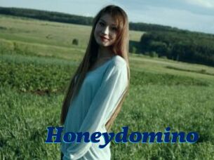 Honeydomino