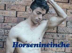 Horsenineinche