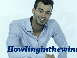 Howlinginthewind