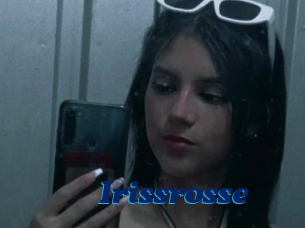 Irissrosse