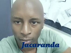 Jacaranda
