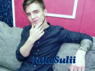 JakeSulii