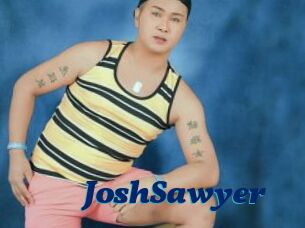 JoshSawyer