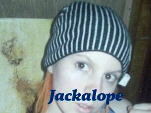 Jackalope