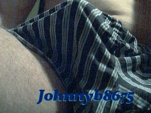 Johnnyb8675