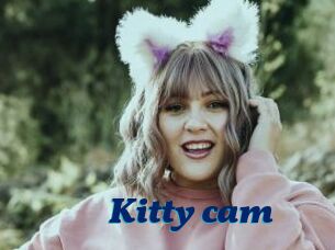 Kitty_cam
