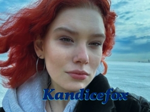 Kandicefox