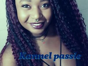 Kannel_passie