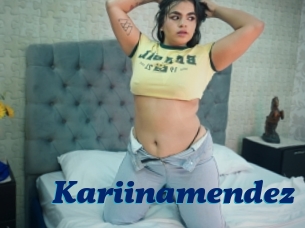 Kariinamendez